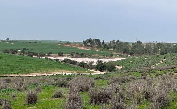 שמורת פורה  (צילום: מירב טלמור-קשי)