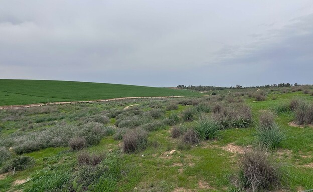 טבע שמורת פורה 