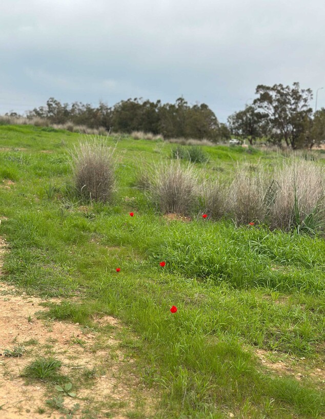 טיול שמורת פורה 