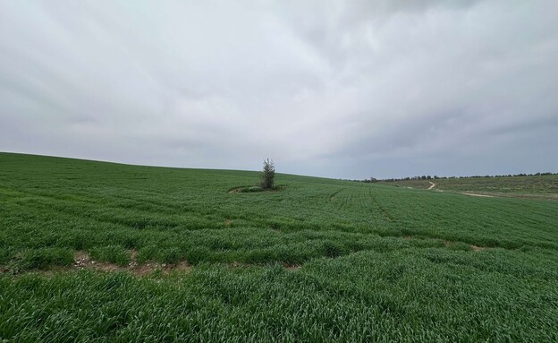 שדה שמורת פורה 