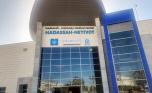 הדסה (צילום: הדסה)