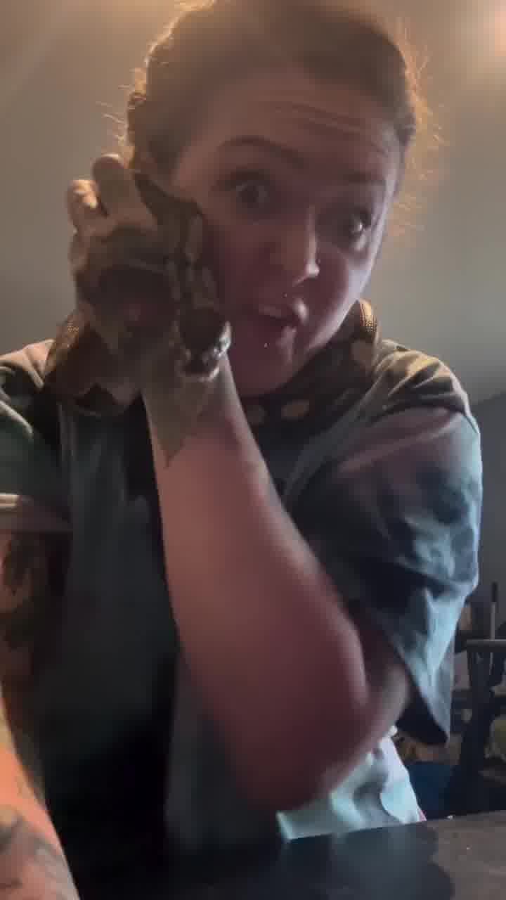 אישה מסקוטלנד תקעה נחש בחור של העגיל שלה. זהו. אפשר לסגור את האינטרנט