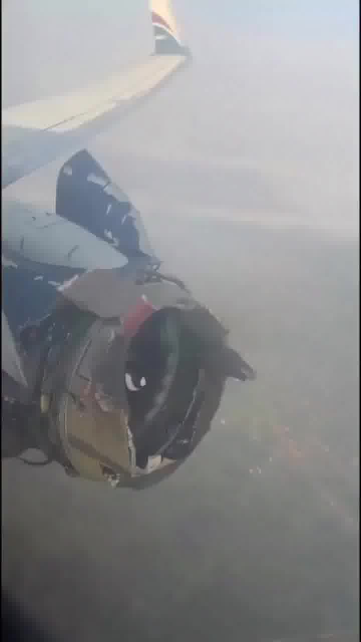 מטוס נוסעים ניגרי נאלץ לבצע נחיתת חירום, נראה אם תצליחו לזהות למה