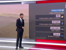 20mezeggg_vtr2_n20260213_v1 (צילום: חדשות)