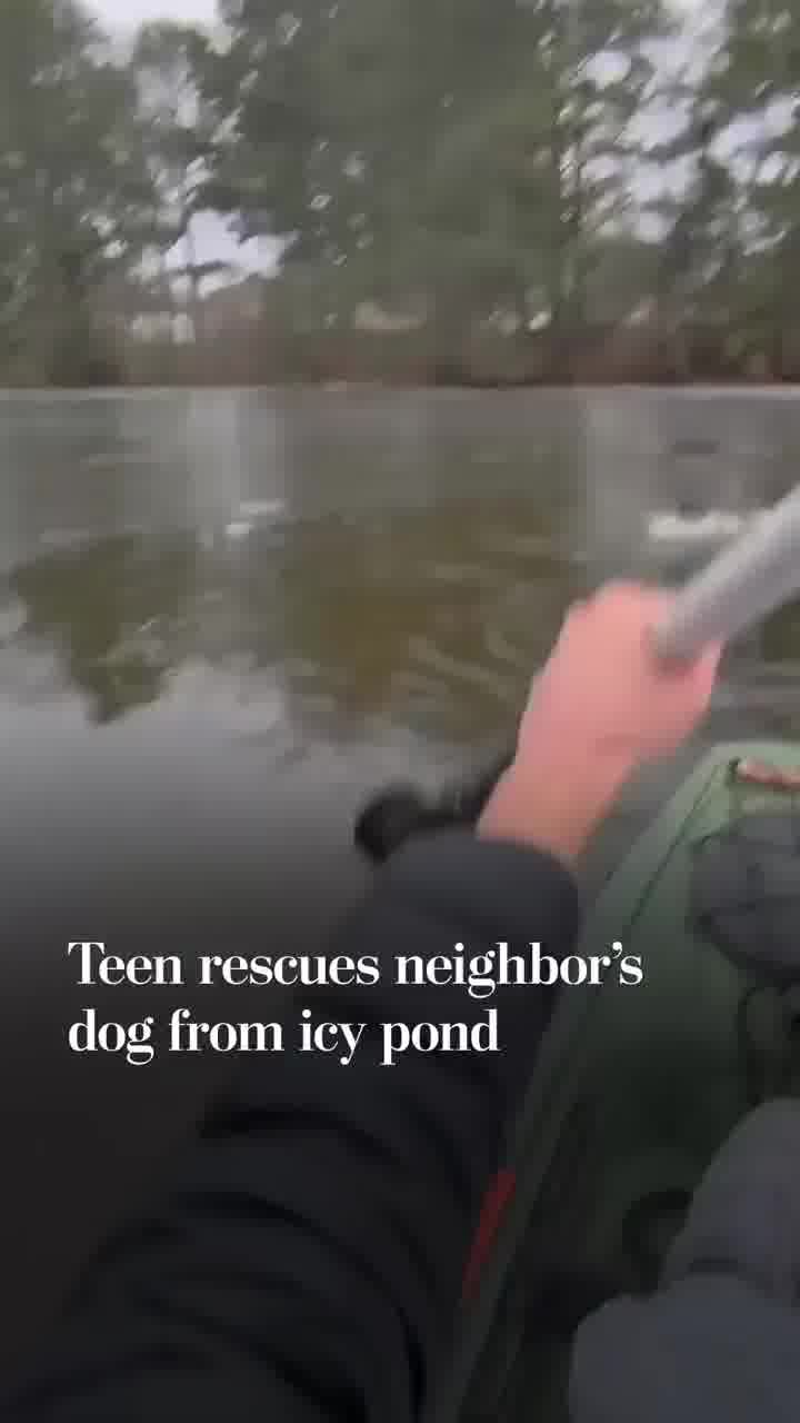 חותר קיאק הציל את הכלב של השכנים מאגם קפוא