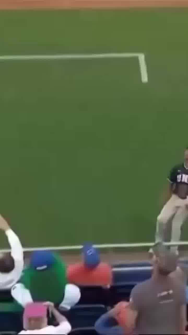 הקמע של קבוצת הבייסבול הגן על ילד ביציע, והסוף מושלם