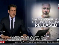 20epstein_vtr2_n20260214_v1 (צילום: חדשות)