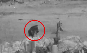 זיהוי מחבלים סמוך לבית ח'אנון (צילום: דובר צה"ל)