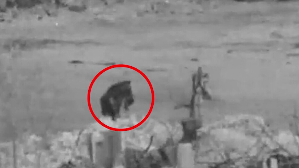 זיהוי מחבלים סמוך לבית ח'אנון