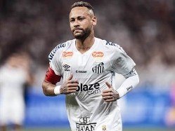 sportFive1673185 (צילום: ספורט 5)