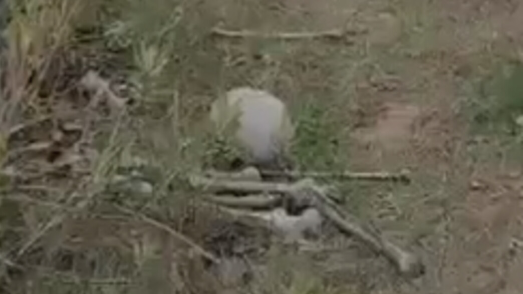 העצמות שאותרו ביעד ליד ירושלים