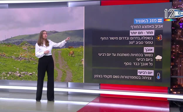 תחזית מזג האוויר - 15.02.26