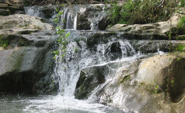 נחל השופט (צילום: עמותת לטם)