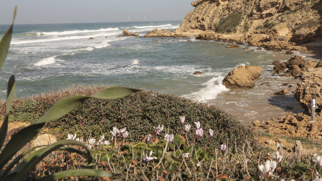 מזג אוויר יהיה נוח - לקראת שבוע של התחממות הדרגתית