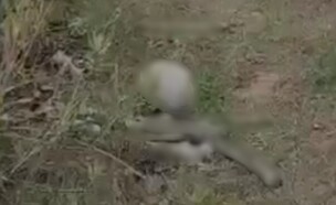 העצמות שאותרו ליד ירושלים (צילום: סעיף 27א לחוק זכויות יוצרים)