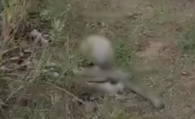 העצמות שאותרו ליד ירושלים (צילום: סעיף 27א לחוק זכויות יוצרים)