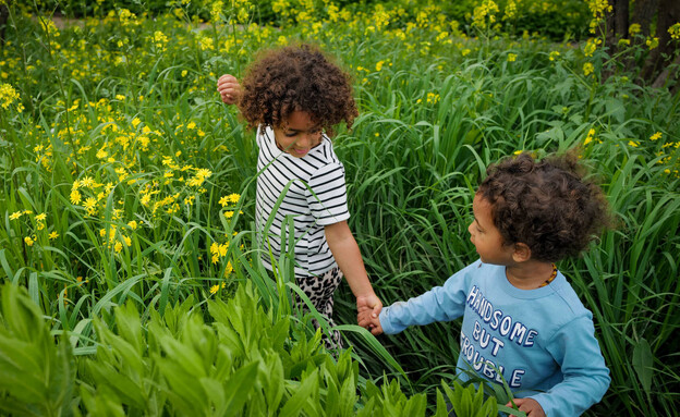 תחזית אביב (צילום: מיכאל גלעדי, Flash 90)