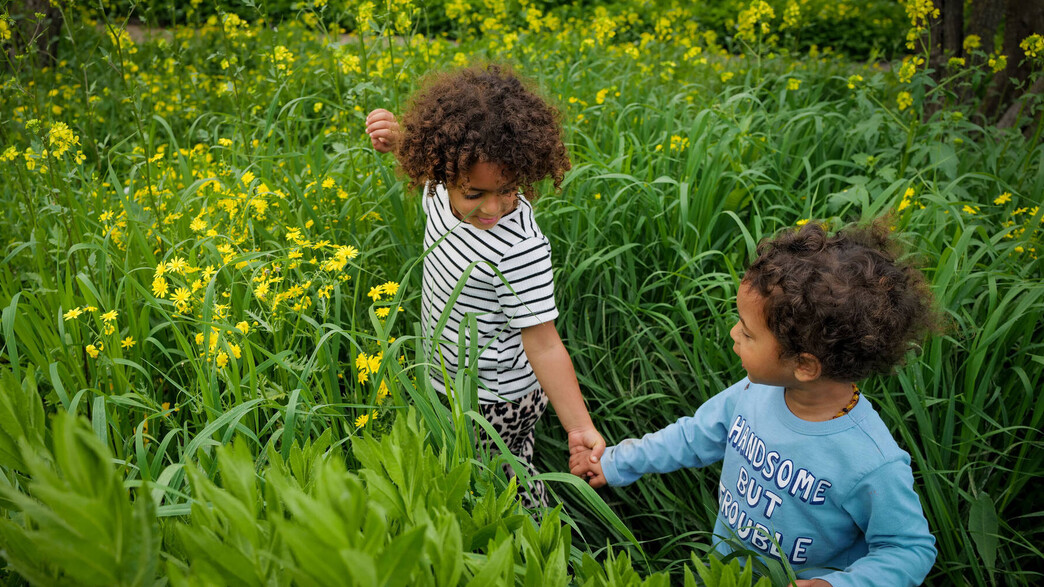 תחזית אביב תחזית אביב
