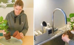 שדרוג לעציץ איקאה (צילום: אינסטגרם)