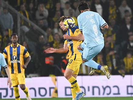 נלחמו (ברני ארדוב)