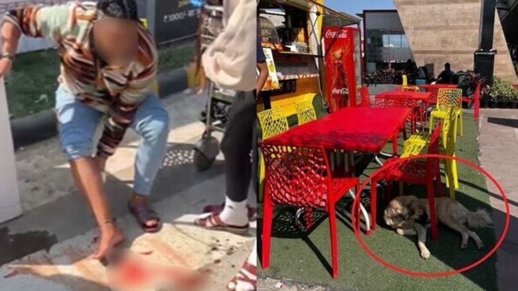 תיירת ישראלית ננשכה