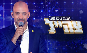 "הכוכבים של צה"ל" לוגו (צילום: קשת 12)
