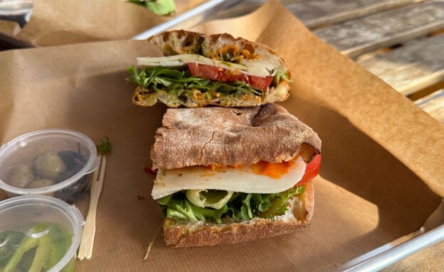 הכריכים של דלי מזטי