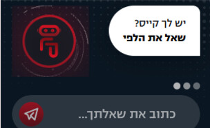 הבוט הלפי (צילום: פסקדין)