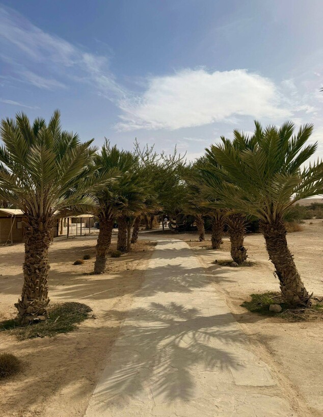 הכניסה למואה