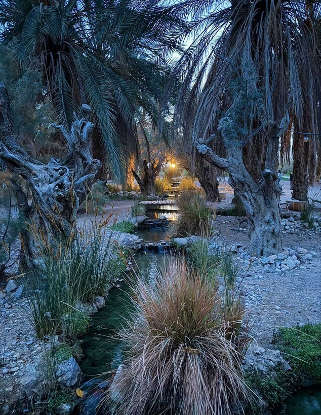 הטבע הפתוח במואה