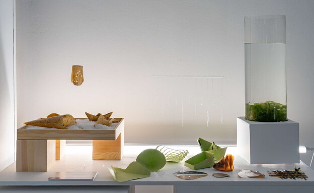 פרויקט של הסטודנטים אורי לוזון ורומי פרנקלין