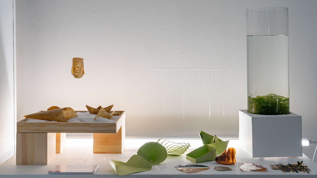 פרויקט של הסטודנטים אורי לוזון ורומי פרנקלין