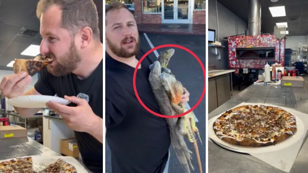 באקס קול פרייד פיצה באקס קול פרייד פיצה