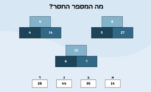 חידת המספר החסר (איור: הפרופסור הלא המפוזר)