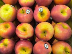 תפוחים עם מדבקות (צילום: shutterstock_dj.onald) תפוחים עם מדבקות (צילום: shutterstock_dj.onald)