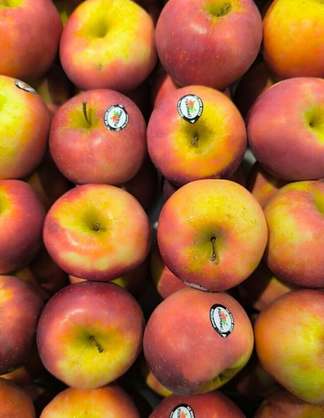 תפוחים עם מדבקות