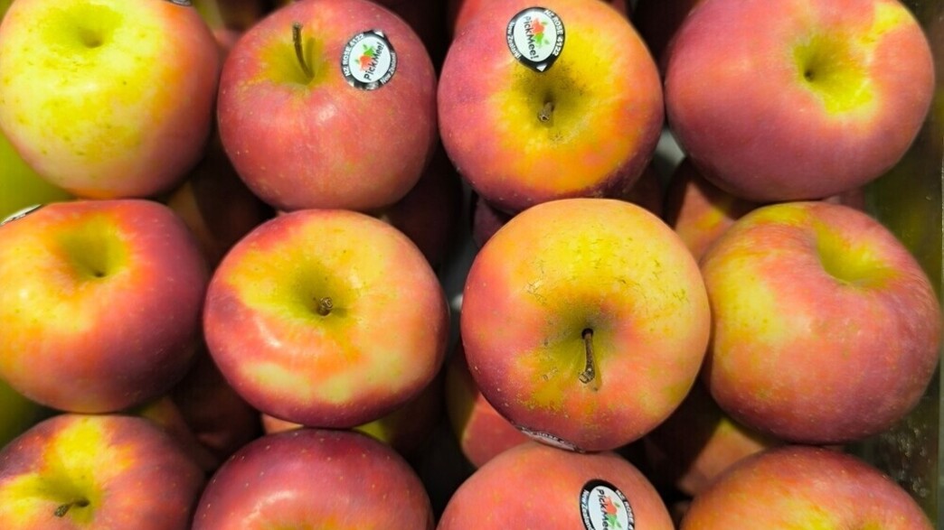 תפוחים עם מדבקות