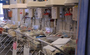 תינוקייה ליס (צילום: מירי גטניו)