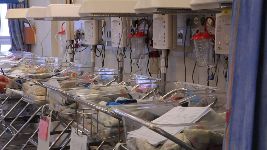 תינוקייה ליס