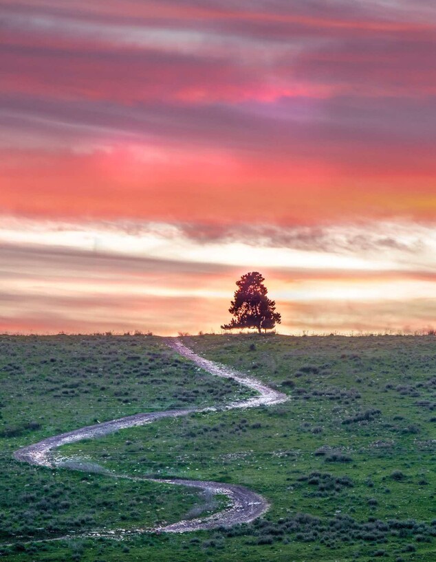 עמק השלום עמק השלום