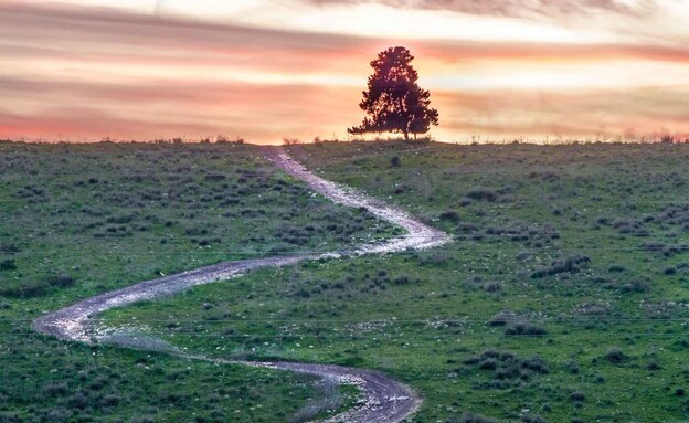 עמק השלום (צילום: אייל בן חיים)