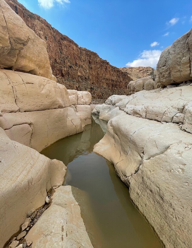 נחל צאלים עליון