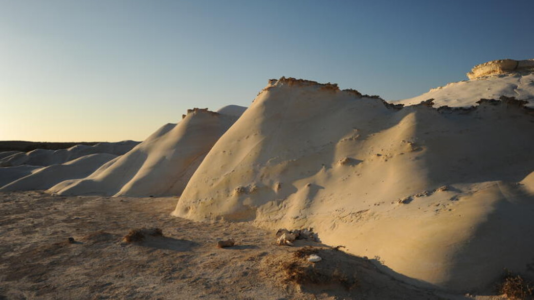 חמוקי ניצנה