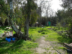 המשתלה בירושליים