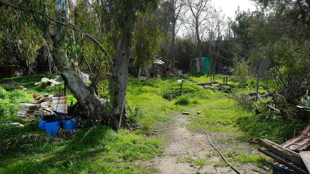 המשתלה בירושליים