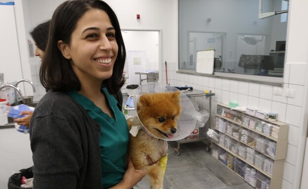 מרפאה וטרינרית