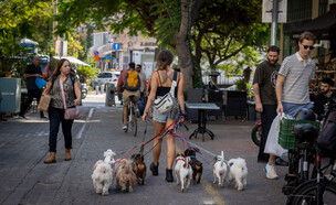 רחובות תל אביב (צילום: מרים אליסטר, פלאש 90)