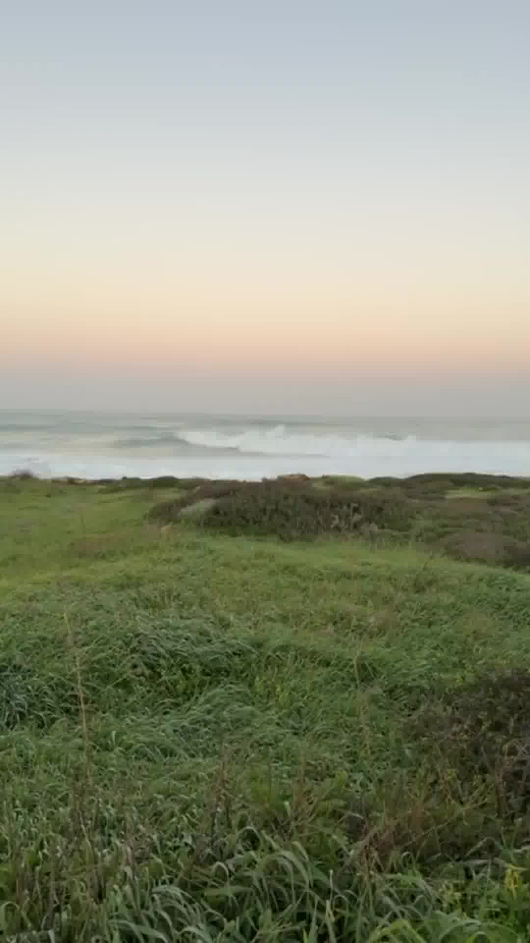 היום יהיה בהיר, תחול עלייה ניכרת בטמפ' והן יהיו גבוהות מהרגיל ‏לעונה