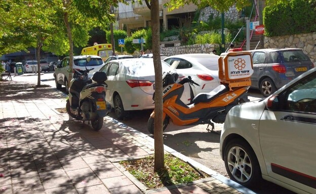 זירת הדקירה ברמת גן (צילום: איחוד הצלה)