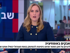 19doctors_vtr2_n20260118_v1 (צילום: חדשות)